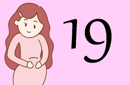 19 неделя беременности